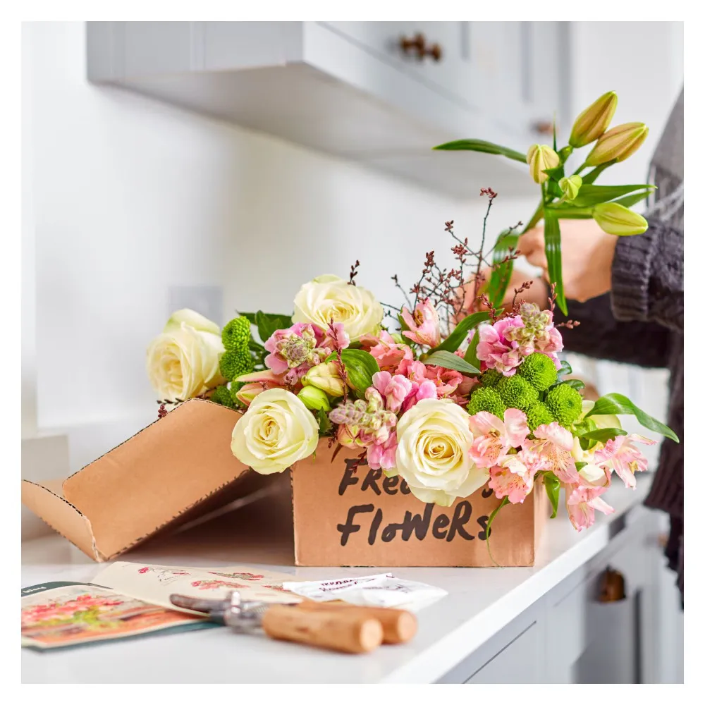 Freddie’s Flowers preview image