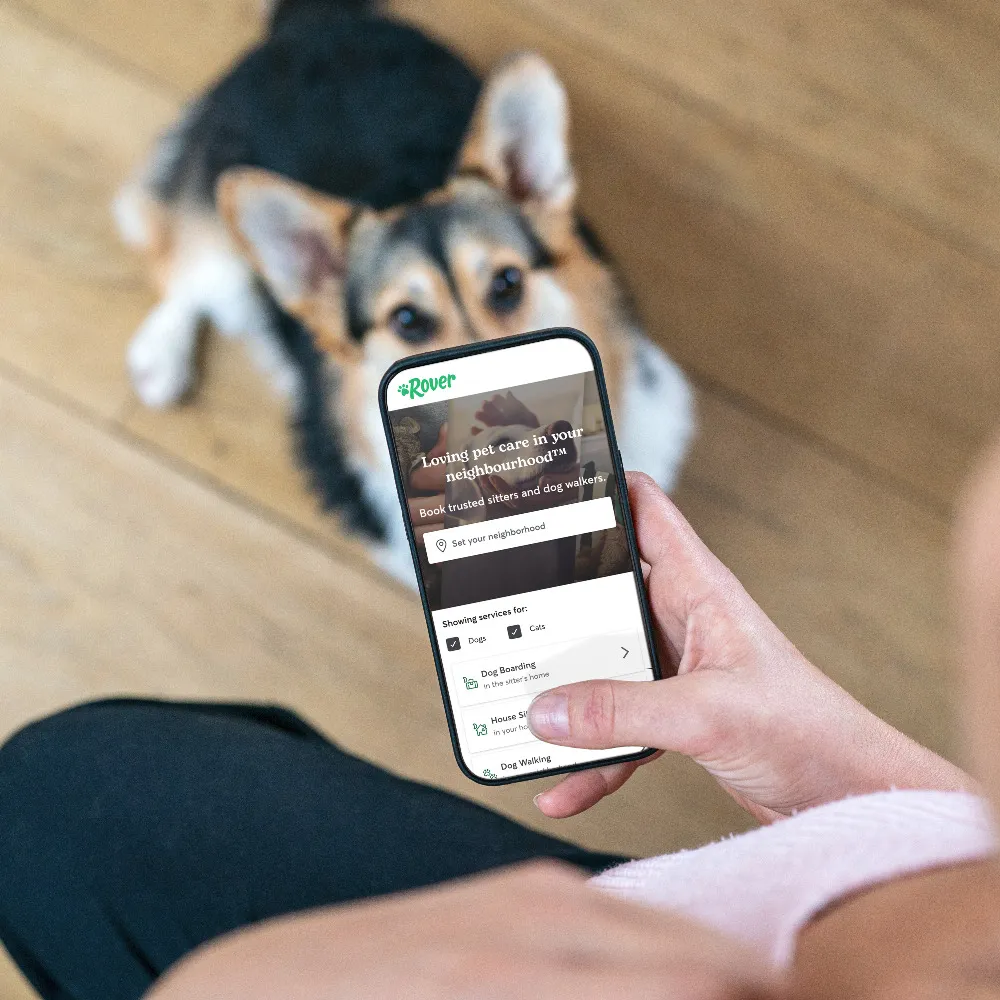 Rover preview image