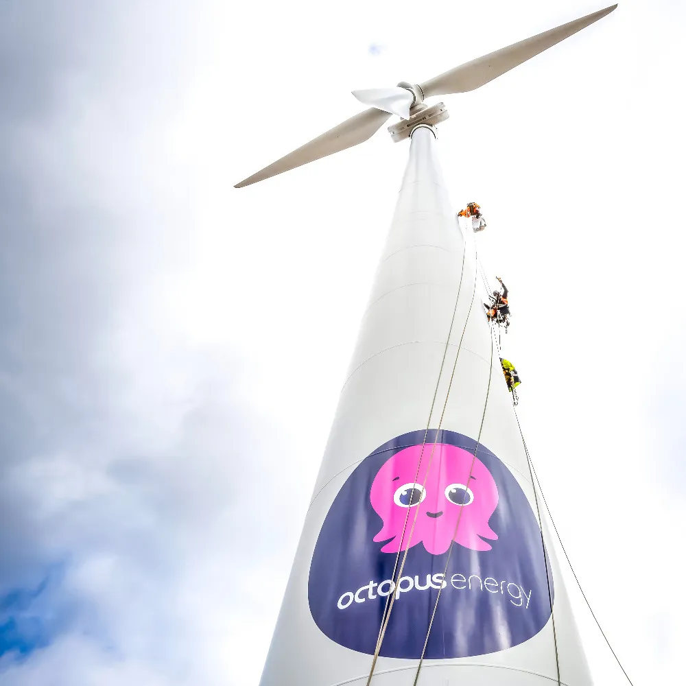 Octopus Energy preview image