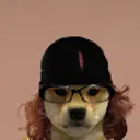 maZz avatar