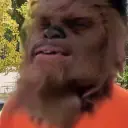 RalfChewbacca avatar