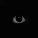 Antek Owoc avatar