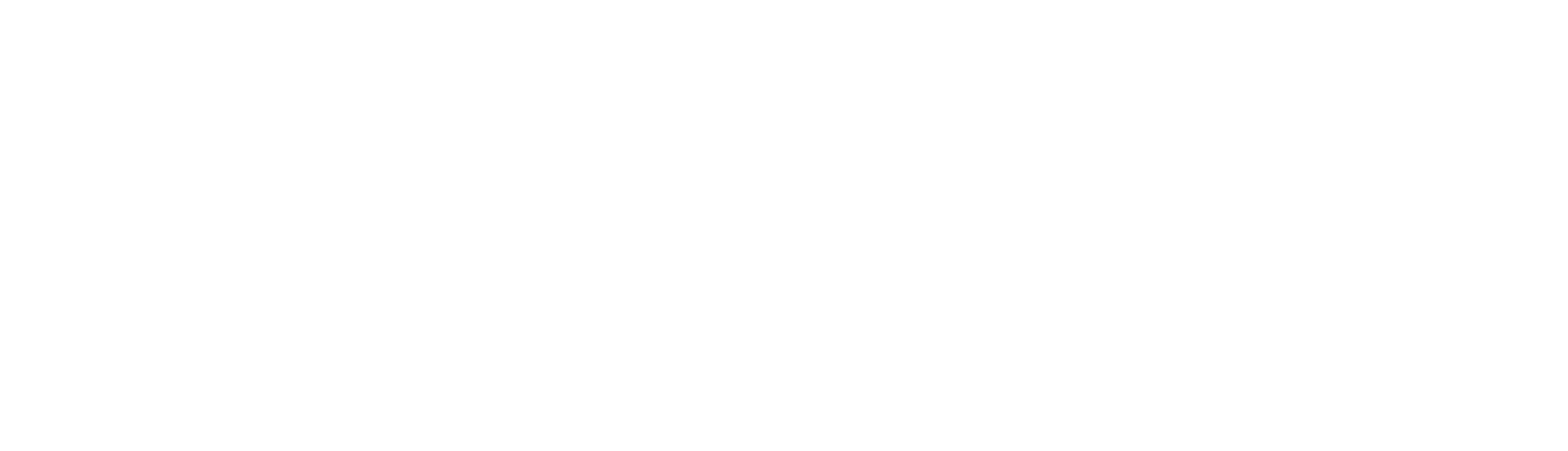 Logo de Blidz