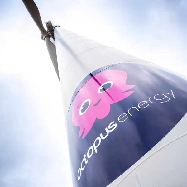 Octopus Energy preview