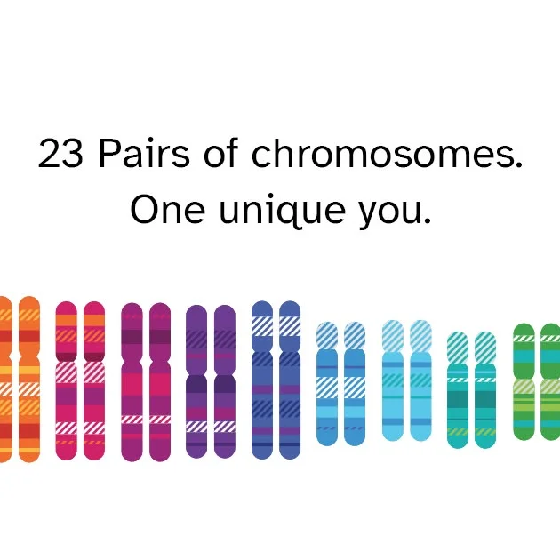 Vorschau von 23andMe