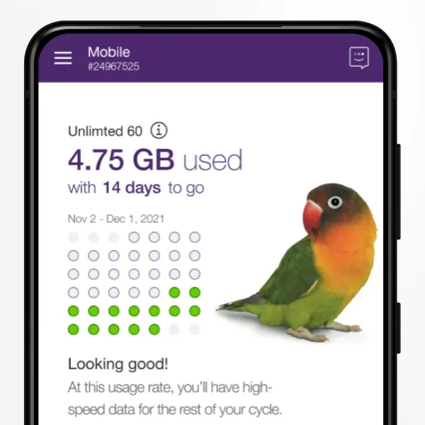 TELUS product preview — referral codes and offers on referraldrop
